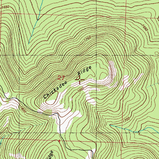 Topographic Map of Chickadee Ridge, WA