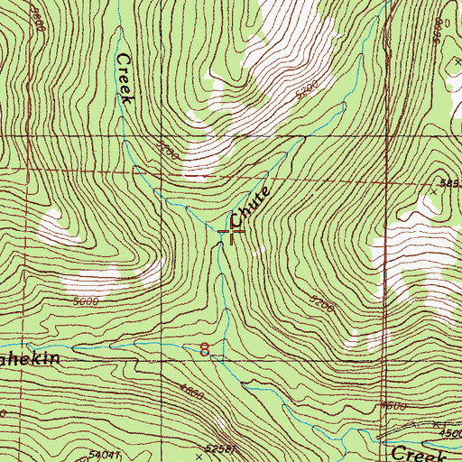 Topographic Map of Chute Creek, WA
