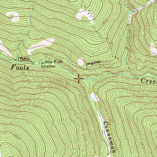 Topographic Map of Cinnamon Creek, WA