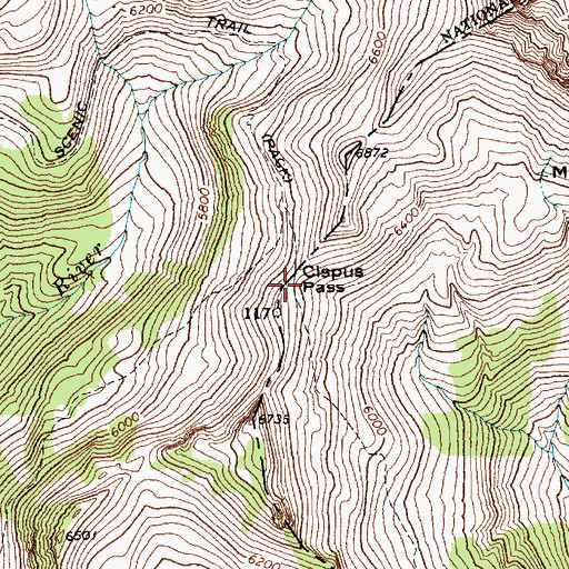 Topographic Map of Cispus Pass, WA
