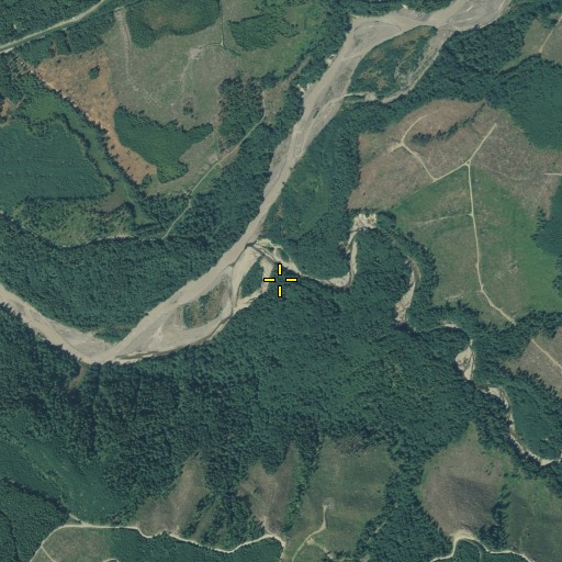 Aerial/Satellite Image of Clearwater River, WA