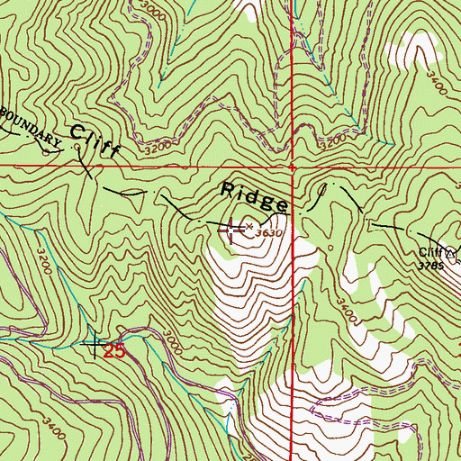 Topographic Map of Cliff Ridge, WA