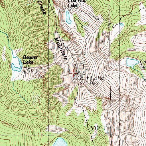Topographic Map of Coal Creek Mountain, WA