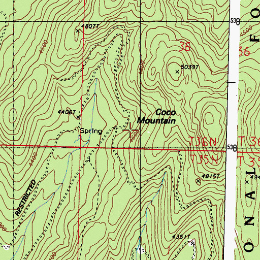 Topographic Map of Coco Mountain, WA