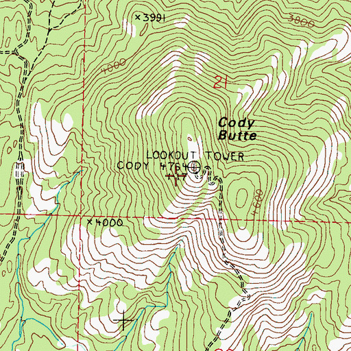 Topographic Map of Cody Butte, WA