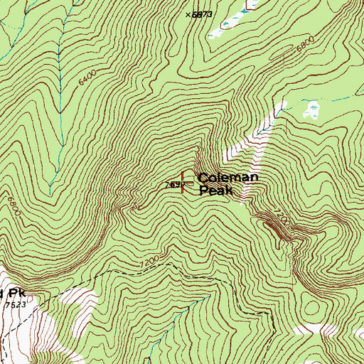 Topographic Map of Coleman Peak, WA