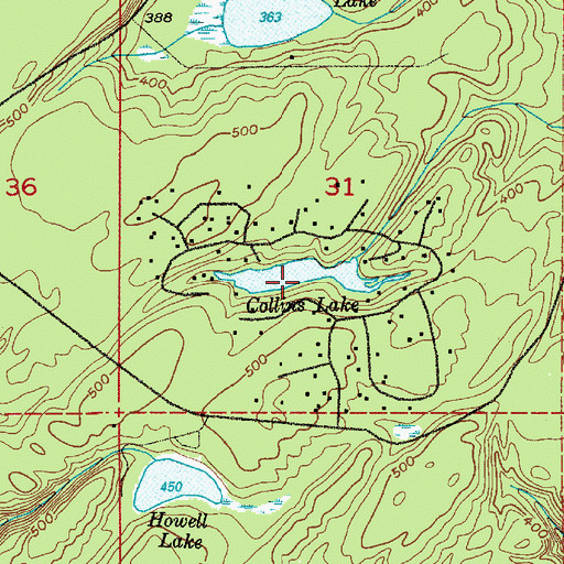 Topographic Map of Collins Lake, WA