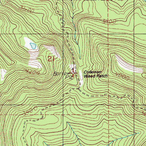 Topographic Map of Coleman Weed Patch, WA