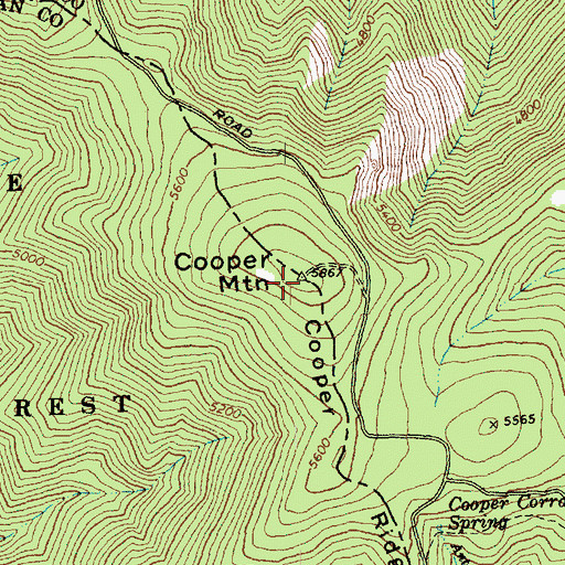 Topographic Map of Cooper Mountain, WA