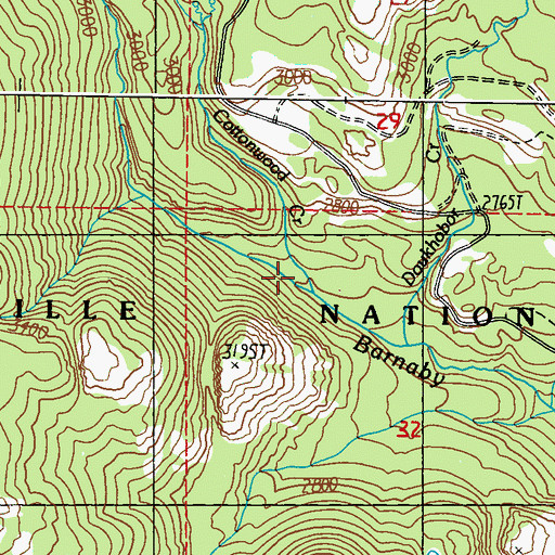 Topographic Map of Cottonwood Creek, WA