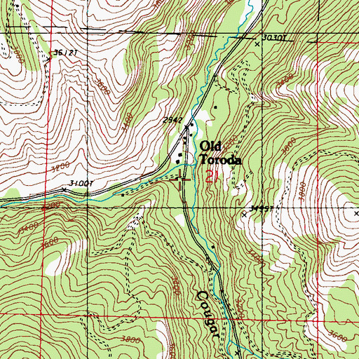 Topographic Map of Cougar Creek, WA