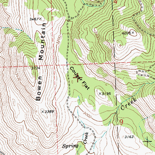 Topographic Map of Cougar Flat, WA