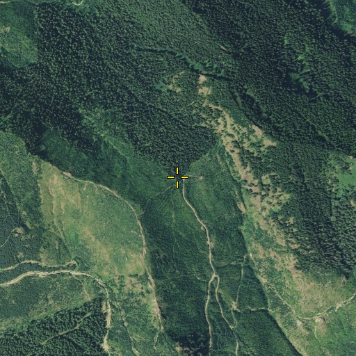 Aerial/Satellite Image of Cougar Gap, WA