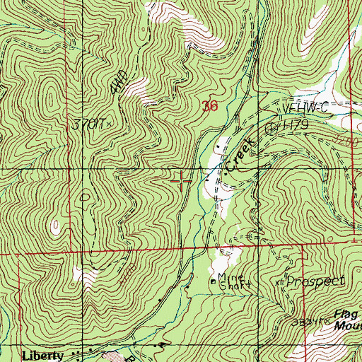 Topographic Map of Cougar Gulch, WA
