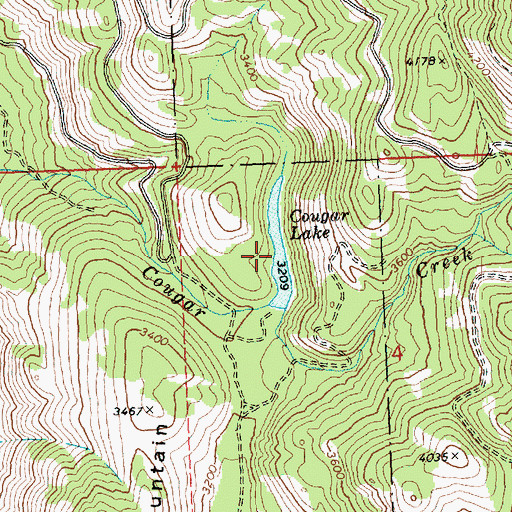 Topographic Map of Cougar Lake, WA
