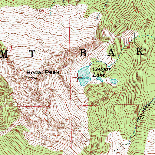 Topographic Map of Cougar Lake, WA