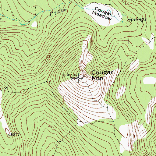 Topographic Map of Cougar Mountain, WA