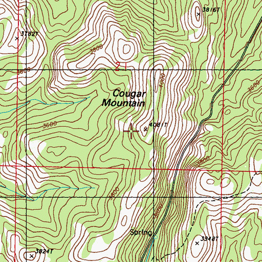 Topographic Map of Cougar Mountain, WA