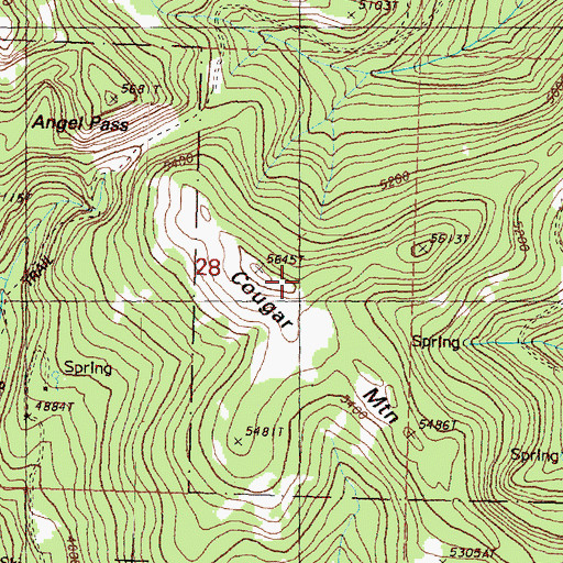 Topographic Map of Cougar Mountain, WA