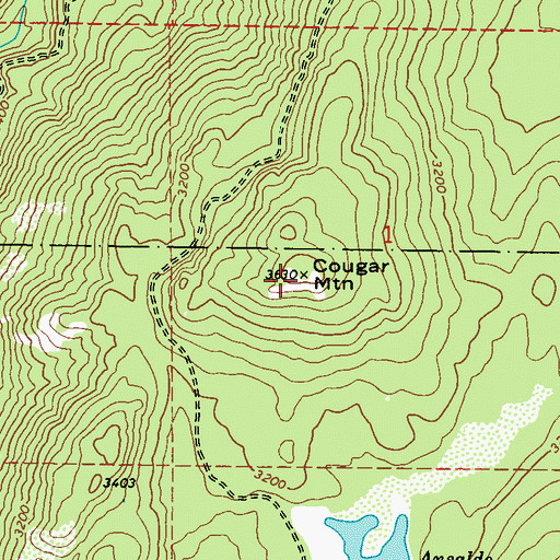 Topographic Map of Cougar Mountain, WA