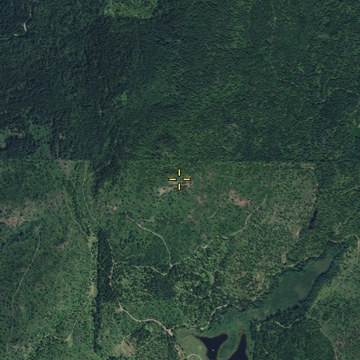 Aerial/Satellite Image of Cougar Mountain, WA