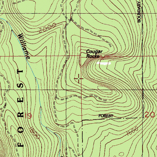 Topographic Map of Cougar Rocks, WA