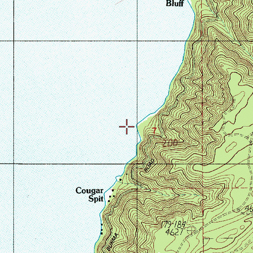 Topographic Map of Cougar Spit, WA