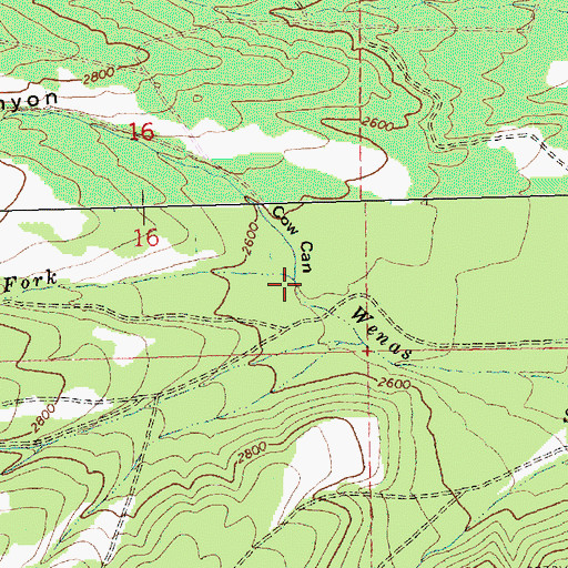 Topographic Map of Cow Canyon, WA