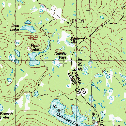 Topographic Map of Cowlitz Pass, WA