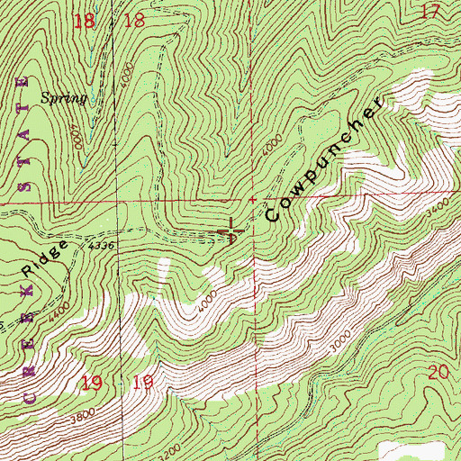 Topographic Map of Cowpuncher Ridge, WA