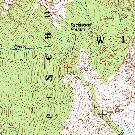 Topographic Map of Coyote Trail, WA