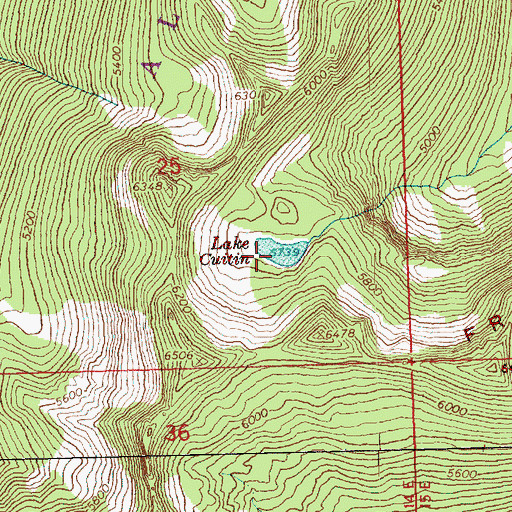 Topographic Map of Lake Cuitin, WA