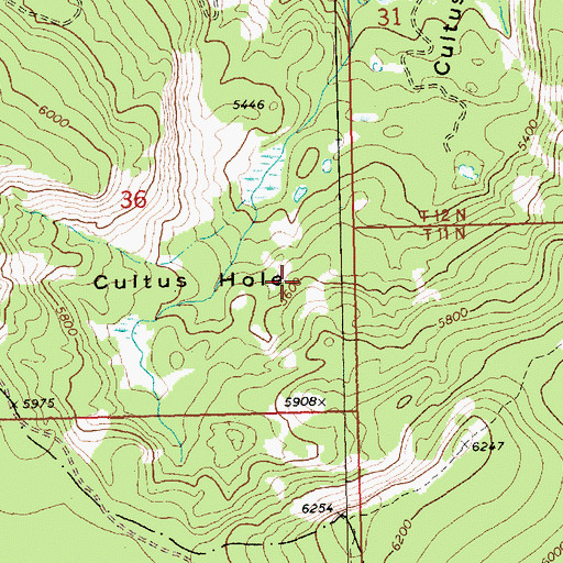 Topographic Map of Cultus Hole, WA