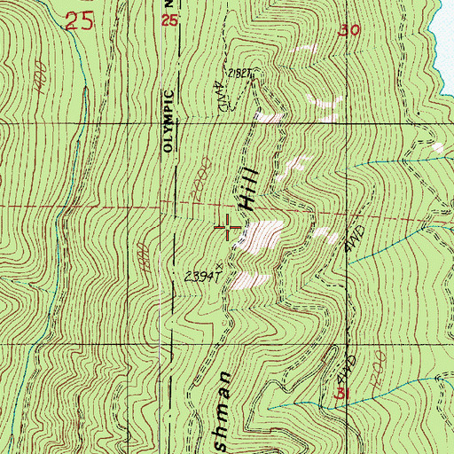 Topographic Map of Cushman Hill, WA