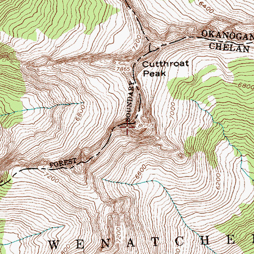 Topographic Map of Cutthroat Peak, WA