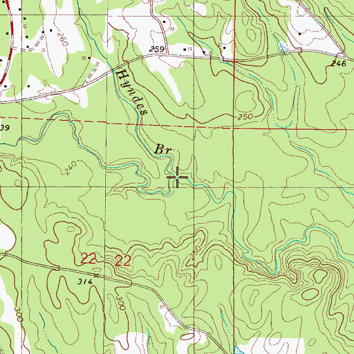 Topographic Map of Hyndes Branch, AL