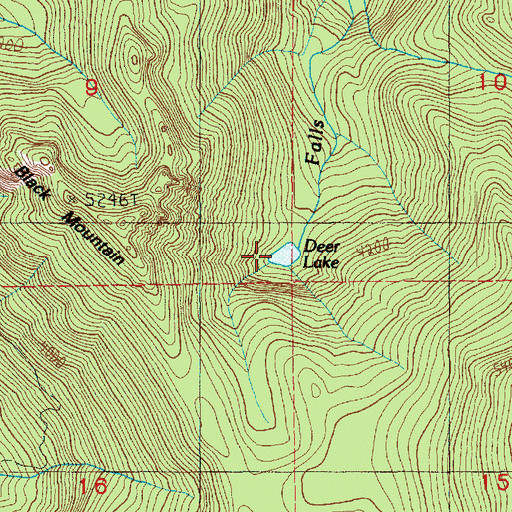 Topographic Map of Deer Lake, WA