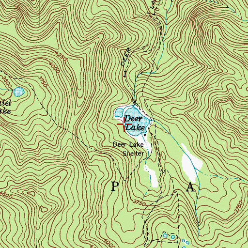 Topographic Map of Deer Lake, WA
