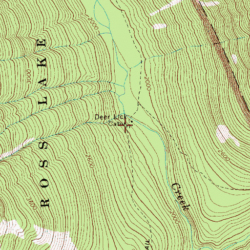 Topographic Map of Deer Lick Cabin, WA