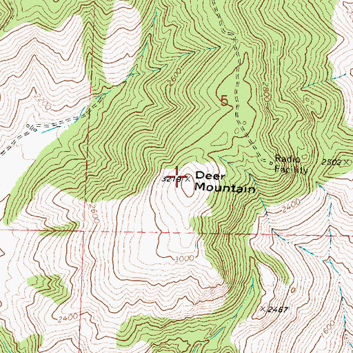 Topographic Map of Deer Mountain, WA