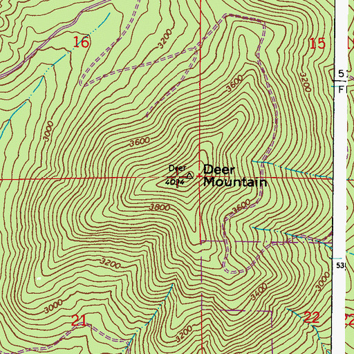 Topographic Map of Deer Mountain, WA