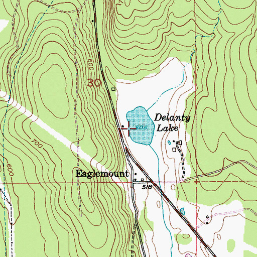 Topographic Map of Delanty Lake, WA