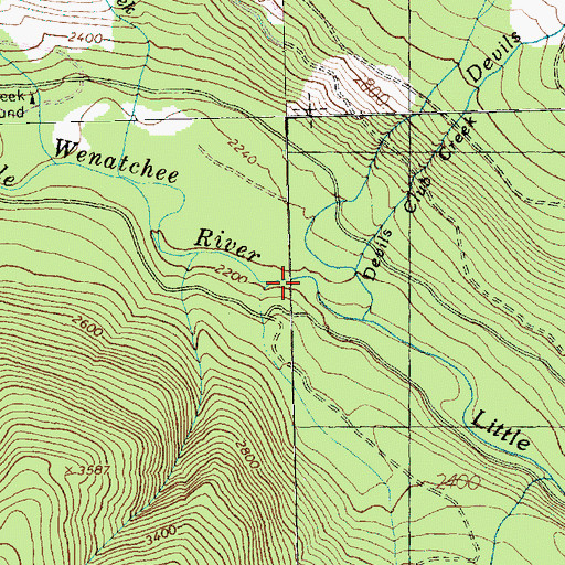 Topographic Map of Devils Club Creek, WA