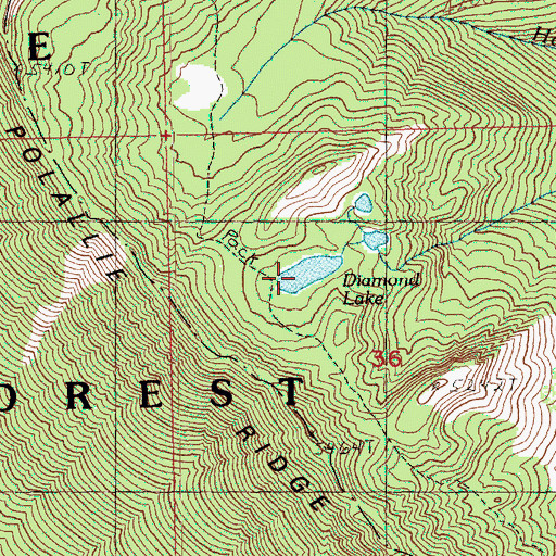 Topographic Map of Diamond Lake, WA
