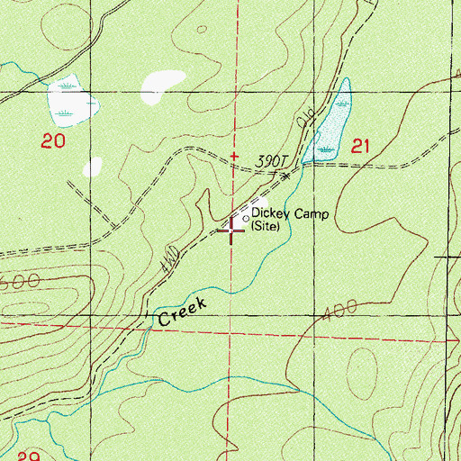 Topographic Map of Dickey Camp, WA