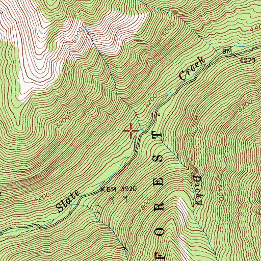 Topographic Map of Dicky Creek, WA