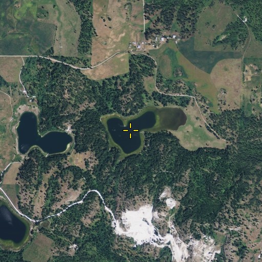 Aerial/Satellite Image of Dilly Lake, WA