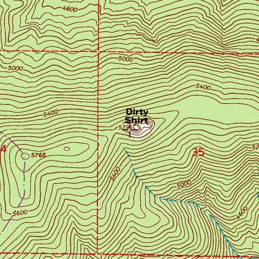 Topographic Map of Dirty Shirt, WA