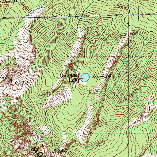 Topographic Map of Dirtyface Lake, WA