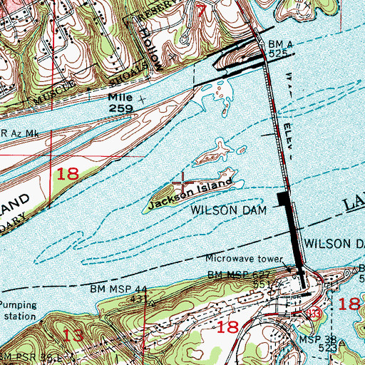 Topographic Map of Jackson Island, AL